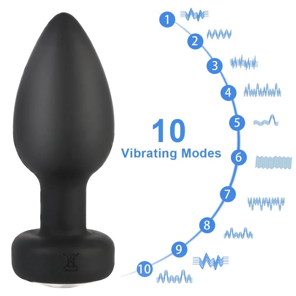 Desire Station Luxury Anal Plug Vibrator 10 Speeds Butt Plug